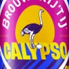 Brouwerij 't IJ Calypso Session