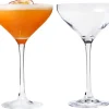 Chef & Sommelier Martini glas (21 cl) - set van 2