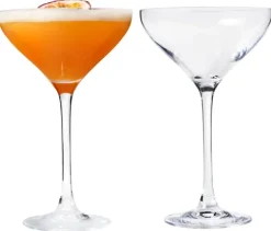 Chef & Sommelier Martini glas (21 cl) - set van 2