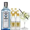Cocktailpakket Bombay Gin tonic