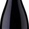 Errazuriz Aconcagua Costa Pinot Noir