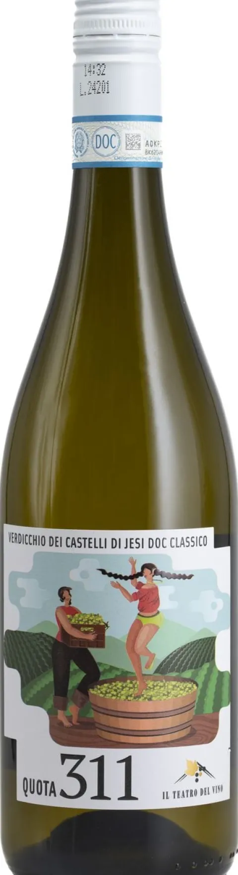 Quota 311 Verdicchio dei Castelli di Jesi