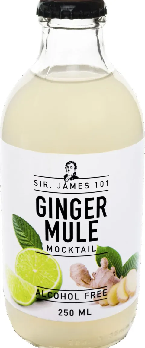 Sir James ginger mule