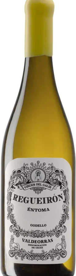 Virgen Del Galir Requeiron